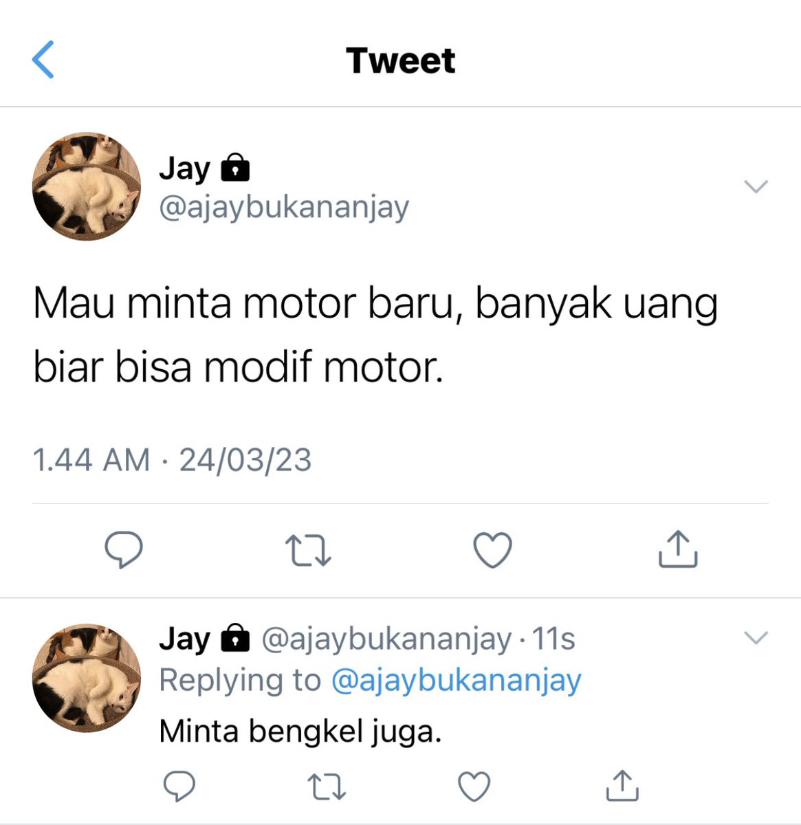 R a y a tweet media