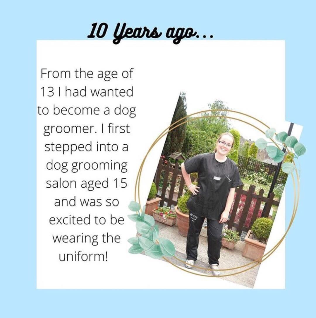 Dashing_Dogs's tweet photo. ~ 10 Years Ago ~

#dashingdogs #alfreton #alfretontown #dog #dogs #groom #groomer #grooming #doggroomer #doggrooming #10yearsago #groomingapparel #uniform https://t.co/xTL415aCWw