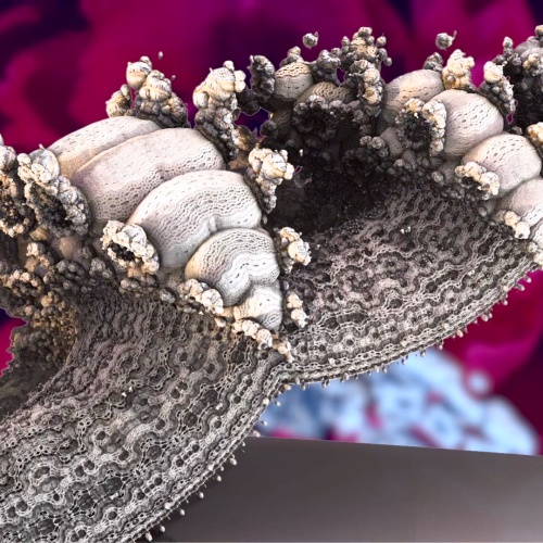 Music-News.com tweet media