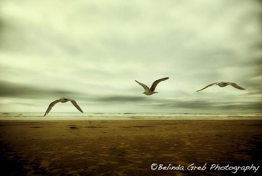 A Moment when time overlaps - Past Present Future Of An Extended Moment by BelindaGreb goo.gl/13fzO3 
#naturephotography