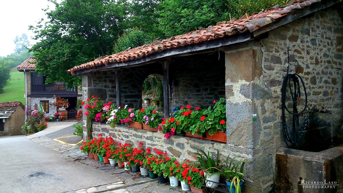 Ricardo_Laso's tweet image. LA GÜERIA DE URBIÉS
#TURÓN #MIERES #ASTURIAS
#LaGüeria de #Urbiés es una localidad del concejo de Mieres y perteneciente a la parroquia de Urbiés. Está situada a una altitud de 680 metros. Dista a 14 kilómetros de la capital municipal de Mieres. RicardoLaso-photography.blogspot.com