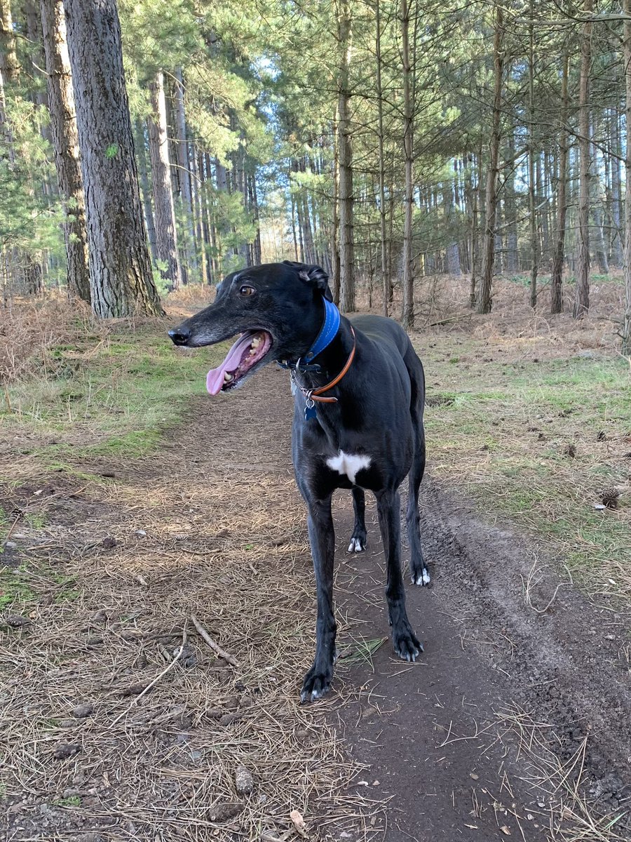 cathknibbs tweet media