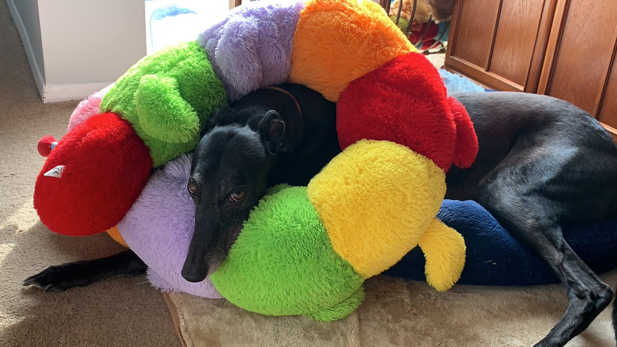 cathknibbs tweet media