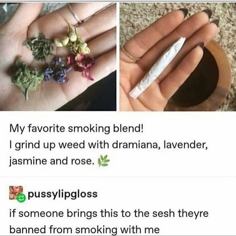 StonerCIips's tweet photo. Hell no https://t.co/SYLuxH80pk