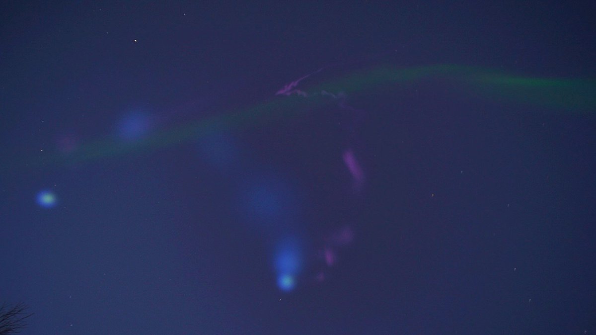 Mia Stålnacke tweet media