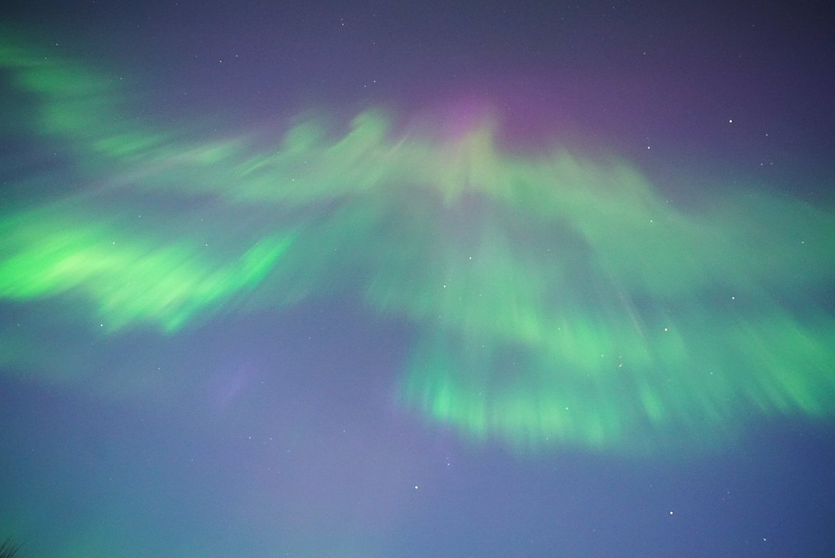 Mia Stålnacke tweet media