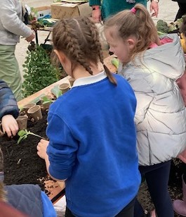 CornwallFood&Farming tweet media