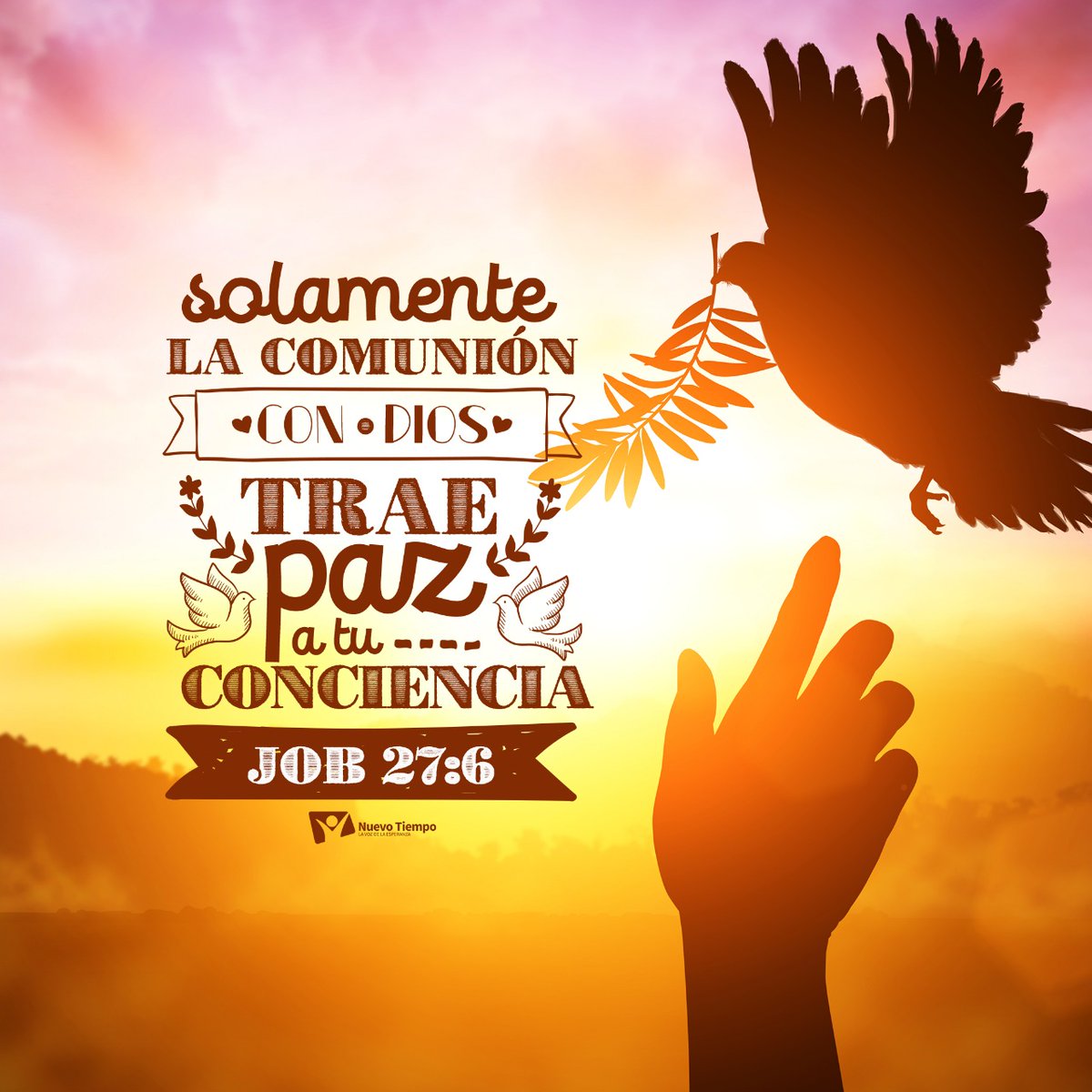 ntchile's tweet photo. Mientras más consuelo hallemos en nuestra fe, más estrechamente nos aferramos a ella. 👏🏻🙏🏻Quienes no se deleitan en Dios, los placeres los descarrían fácilmente y las cruces de esta vida los vencen con facilidad. 
#RPSP #PrimeroDios #Job27 https://t.co/XnEXaqRFVv
