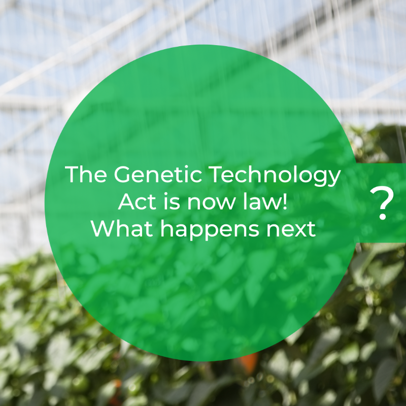 DefraGovUK's tweet photo. The Genetic Technology Bill is now law! 🎉
 
This allows use of techniques like gene editing in plants and animals to target traits with a host of potential benefits like:
reducing pesticides
improving animal health and welfare
boosting climate resilience

But what happens now?