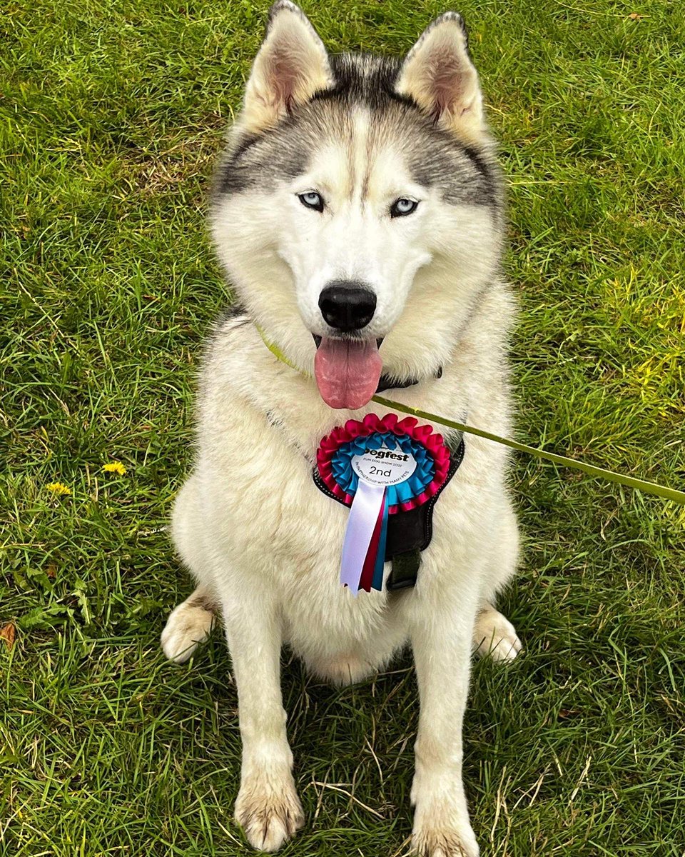 Donna Burwell tweet media