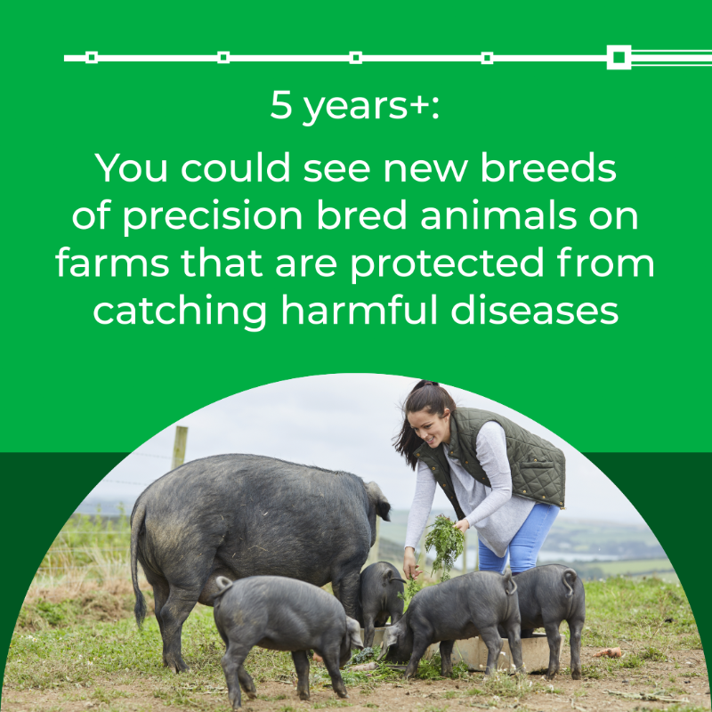 DefraGovUK's tweet photo. The Genetic Technology Bill is now law! 🎉
 
This allows use of techniques like gene editing in plants and animals to target traits with a host of potential benefits like:
reducing pesticides
improving animal health and welfare
boosting climate resilience

But what happens now?