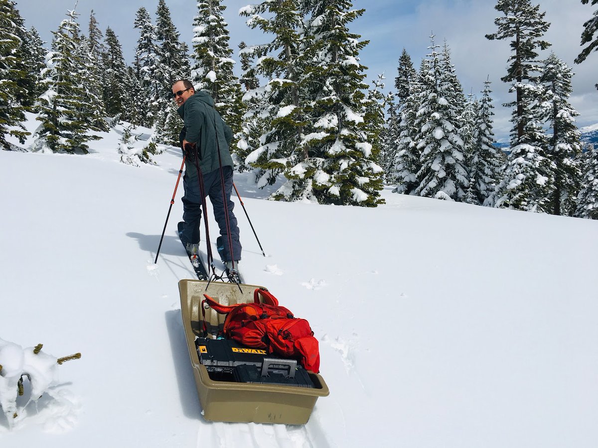 Joseph Welklin (@j_welklin) on Twitter photo New Chickadee paper! Over a lifetime of studying chickadees and tits (family Paridae) <a href="/CognitiveEcol/">Vladimir Pravosudov</a> noticed that females are often smaller than males within breeding pairs, even though male-female size distributions usually overlap. New Chickadee paper! Over a lifetime of studying chickadees and tits (family Paridae) <a href="/CognitiveEcol/">Vladimir Pravosudov</a> noticed that females are often smaller than males within breeding pairs, even though male-female size distributions usually overlap.