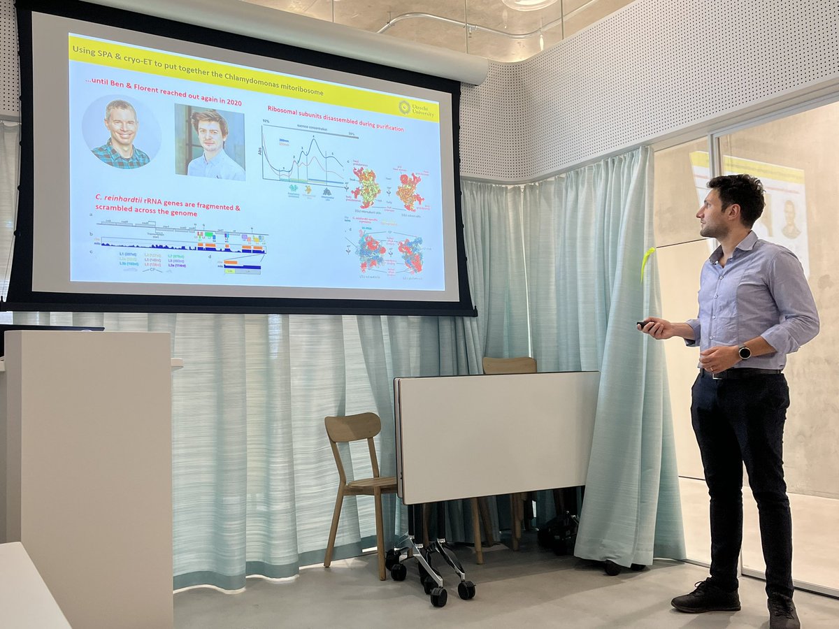 Ben Engel tweet media