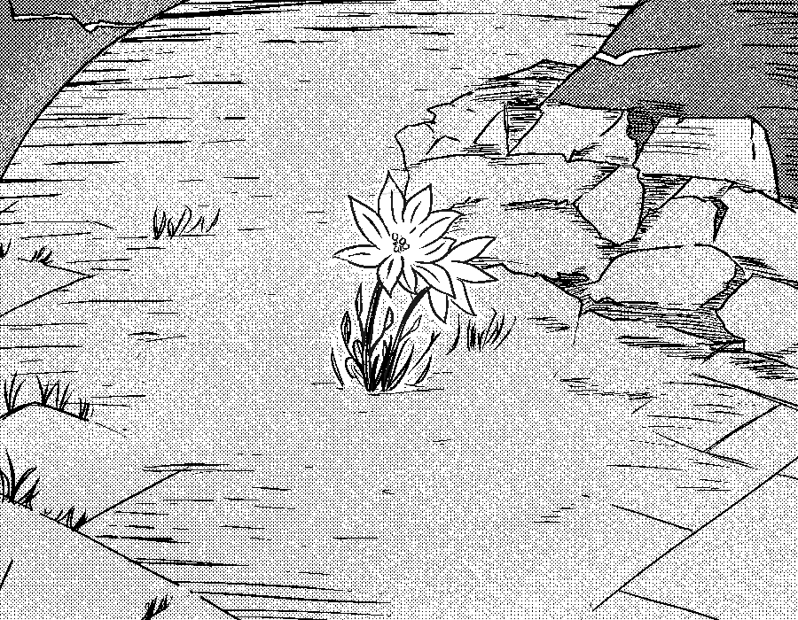 AotnoRequiem's tweet photo. *Third Plan: Full Rumbling*
The path Eren chose, the path that was always going to transpire. Familiar (and curious) past events can be seen. What is "that scenery" going to look like? The people who know are the ones who keep moving forward #AotnoRequiem #ShingekiNoKyojin #АоТ https://t.co/DQnuDtJuNM