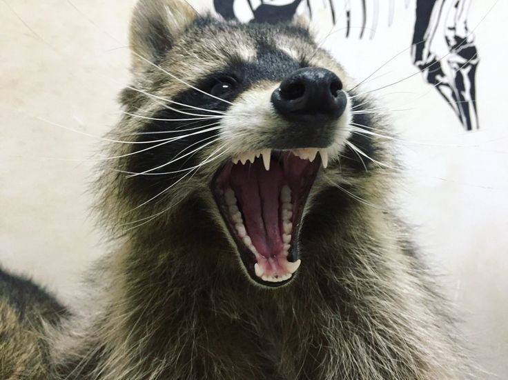 Guess whos BACK BAYBBYYYY!! WHOOOHOOOO!!!