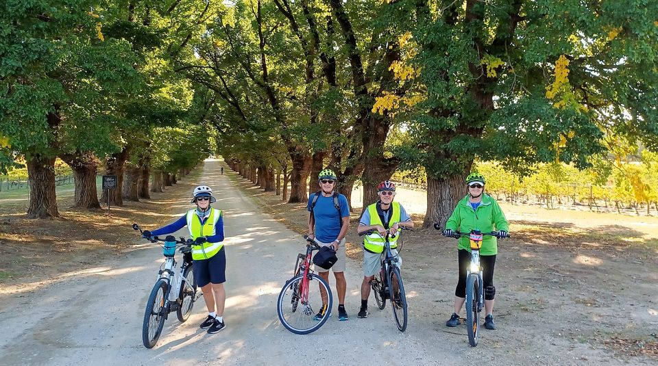 FRIDAY FEATURE
Join Bespoke Cycle Tours small group tours. Accompanied or unaccompanied 1 to 9 day tours
Itineraries include Murray to Mountains Rail Trail; all on quiet backroads and 3-5 star accommodation. 

 bit.ly/bespokecycle

#bespokecyclingtours <a href="/bespokecycling/">Bespoke</a>
