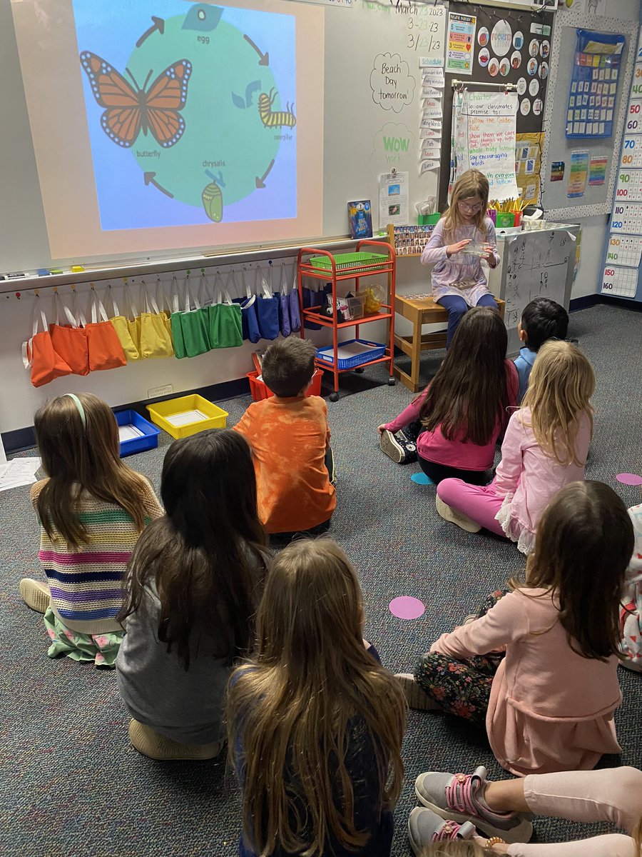 MrsMata1st's tweet image. We’ve been learning about life cycles during reading workshop &amp;amp; one of our friends brought specimens for us to see life cycles up close!! @DrydenSchool #drydenrocks