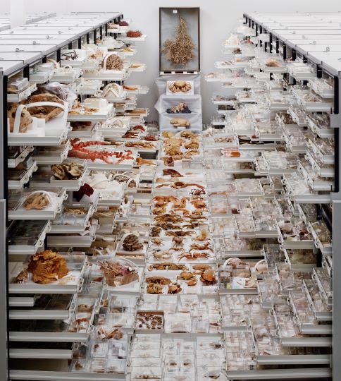 Museum of Nature tweet media
