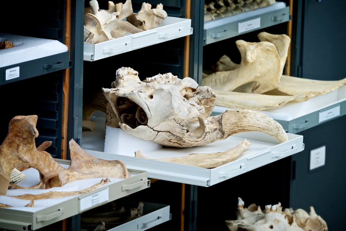 Museum of Nature tweet media