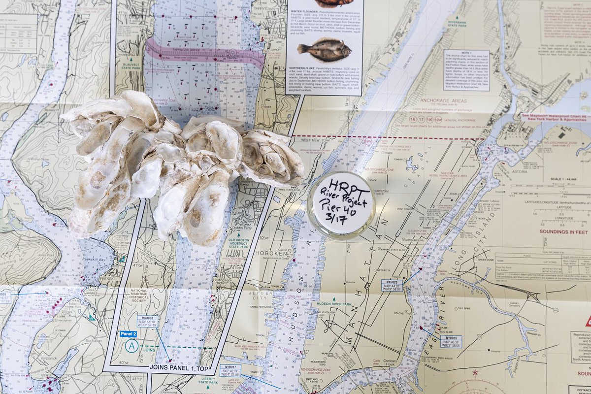 NY Water Week tweet media