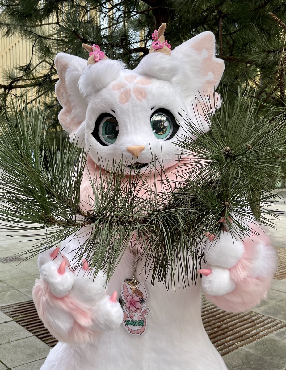 It’s nearly Friday, my friends!! :D 

#nordicfuzzcon
📸 <a href="/Bolt_Cadell/">Boltee</a>