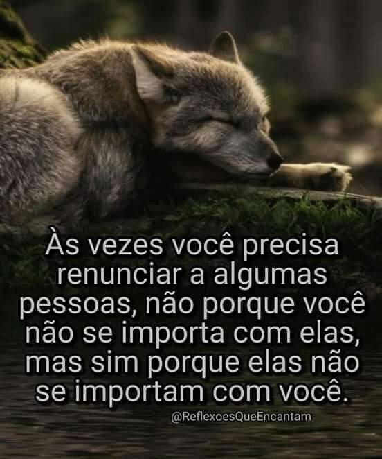 Leninha82308889's tweet image. 