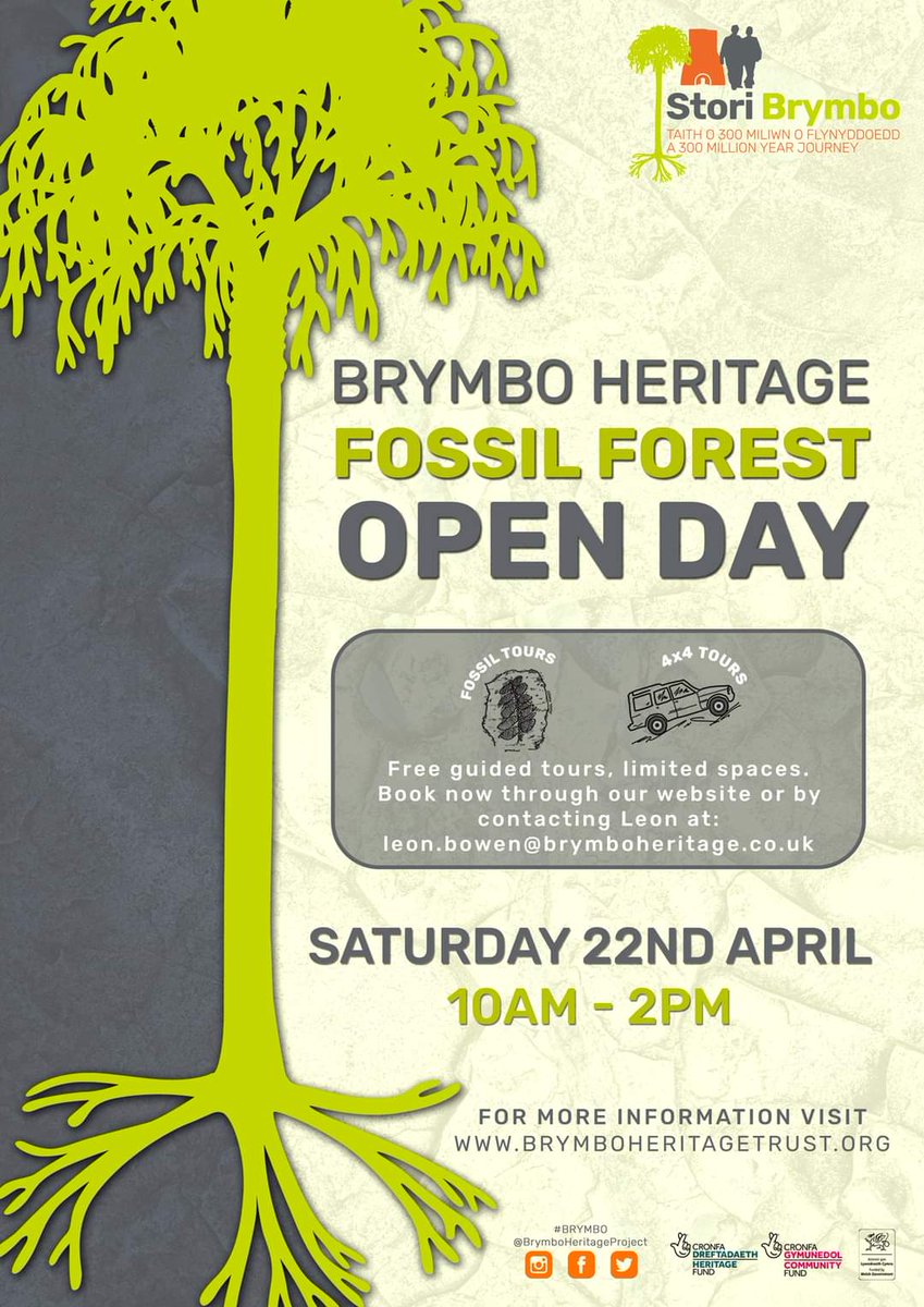fossilforest's tweet photo. Our first open day since 2019!! Nearly #fossilfriday https://t.co/dXogsACiX5