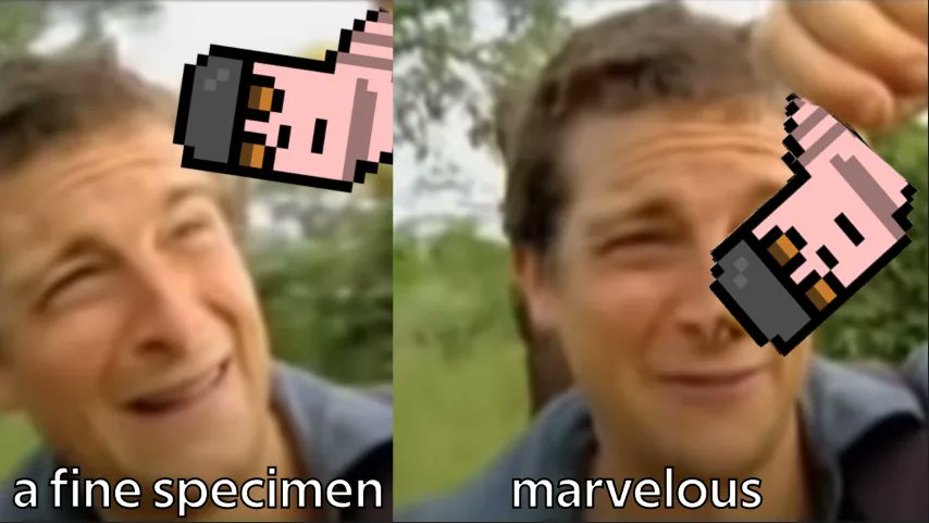 Larva Lads tweet media