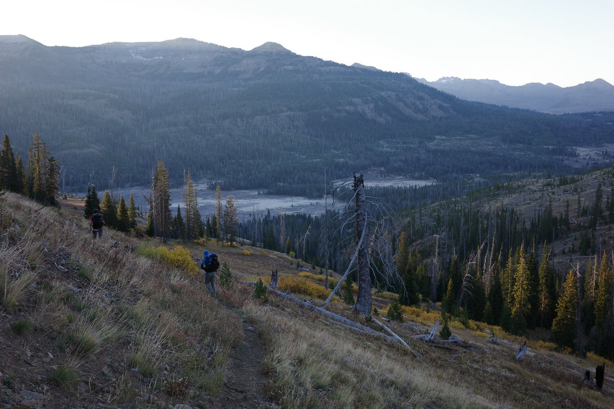 Ethan Linck tweet media