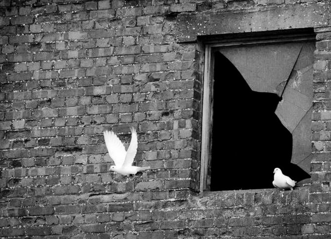 ''Umutlar kuş oldu haberin var mı?''

Şair Sezai Karakoç