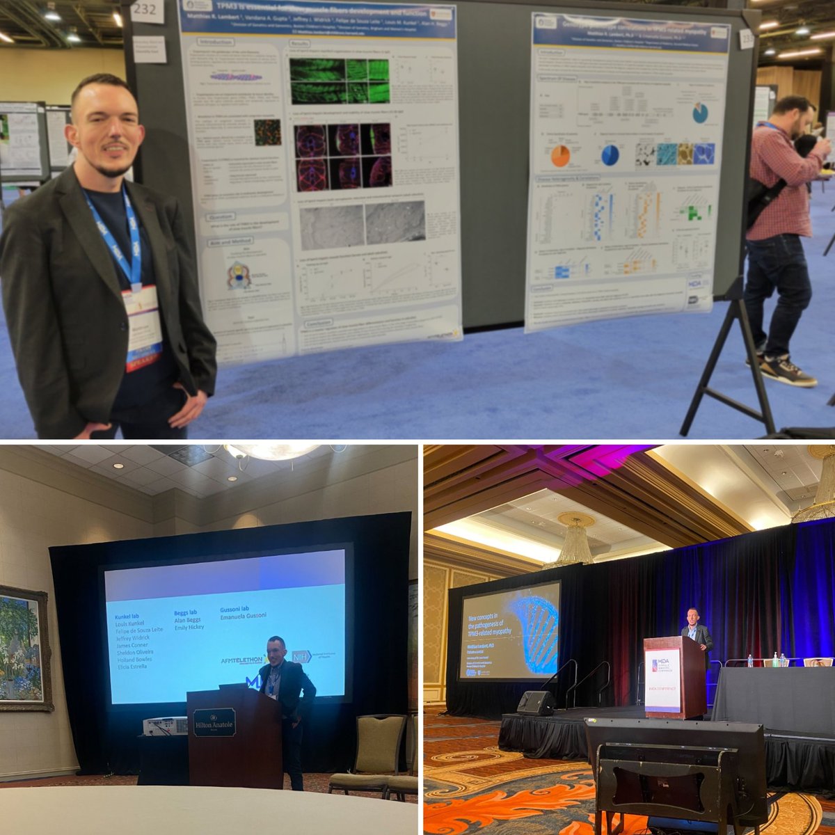 Matthias Lambert, PhD tweet media