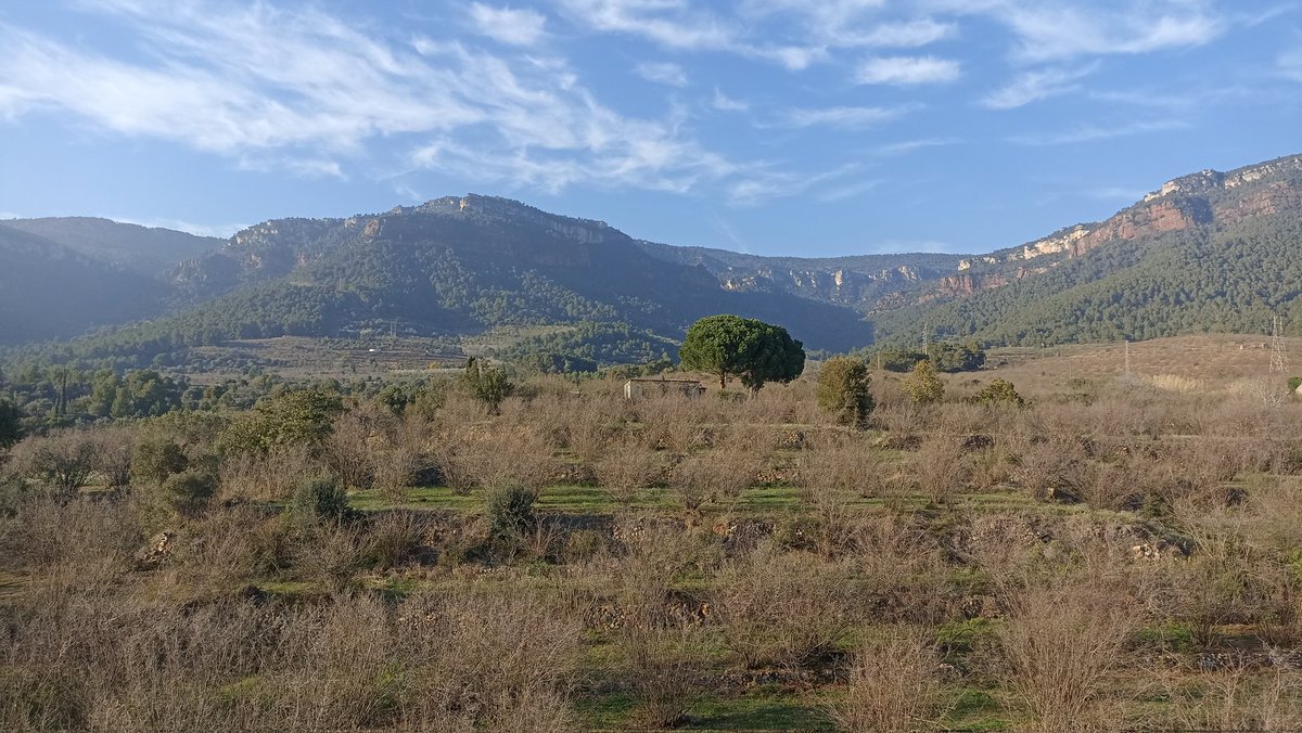 mtllaurado's tweet photo. #diameteorologicmundial amb sol i nuvols alts , caloreta 19°C de màxima a casa nostra, #Vilaplana - #LaMussara !! Fem un àpat ràpid, del congelador #sipiaambmandonguilles i un #pintxo especial, #pintxofusion #morcilladeburgos i #calçots amb un vermut!! https://t.co/8fmUwvXwAR