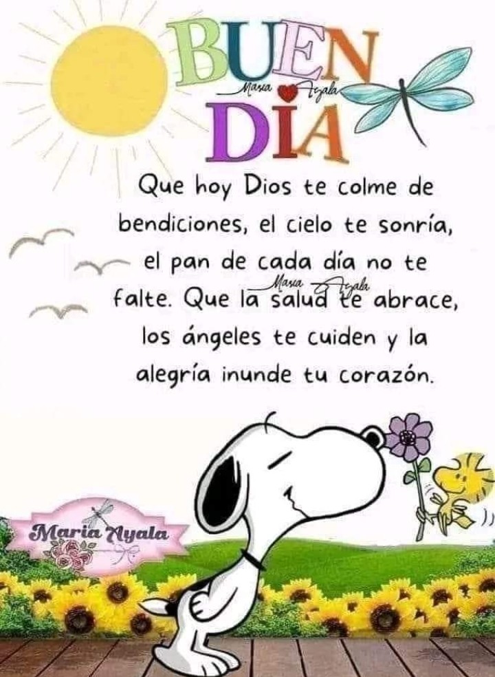 JuanaBH63's tweet photo. Excelente Día #YaEsJueves https://t.co/x50WZgoCL2