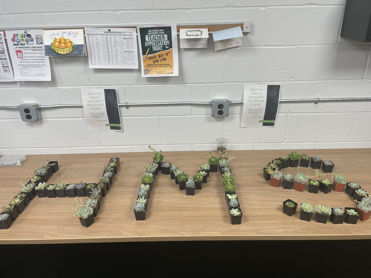 Pamela Massimini (@pamelamassimini) on Twitter photo Don’t let March “succulent” the life out of you! Our staff is doing an amazing job and we appreciate everything they do for our students <a href="/HazletMiddle/">Hazlet Middle School</a> <a href="/HazletProud/">Hazlet Township Public Schools</a> Don’t let March “succulent” the life out of you! Our staff is doing an amazing job and we appreciate everything they do for our students <a href="/HazletMiddle/">Hazlet Middle School</a> <a href="/HazletProud/">Hazlet Township Public Schools</a>