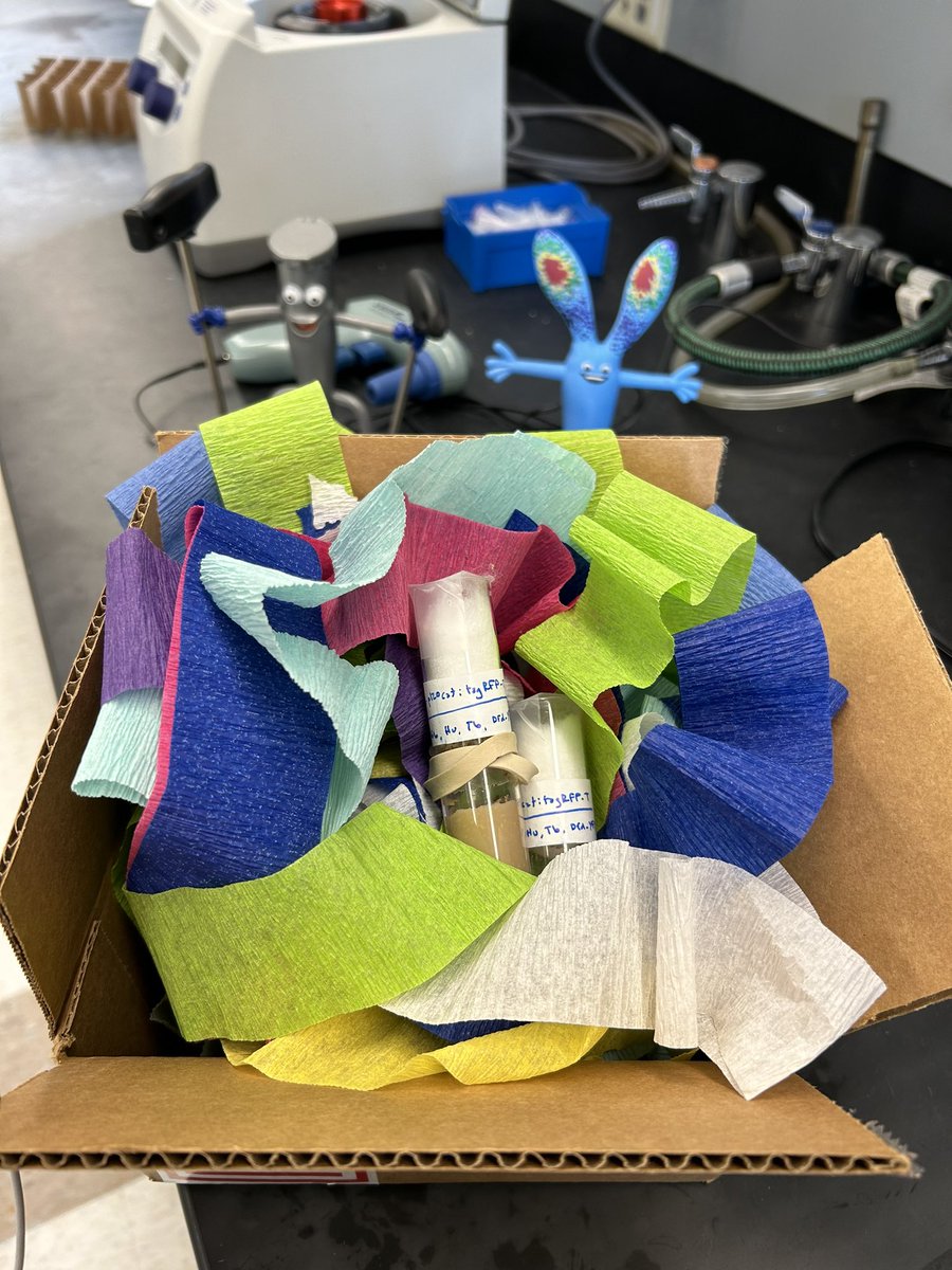 The most colorful box of flies that I have ever received! Totally made my day! Thanks <a href="/natclarke8/">nat clarke</a> and <a href="/MartinLabMIT/">Adam Martin</a>!