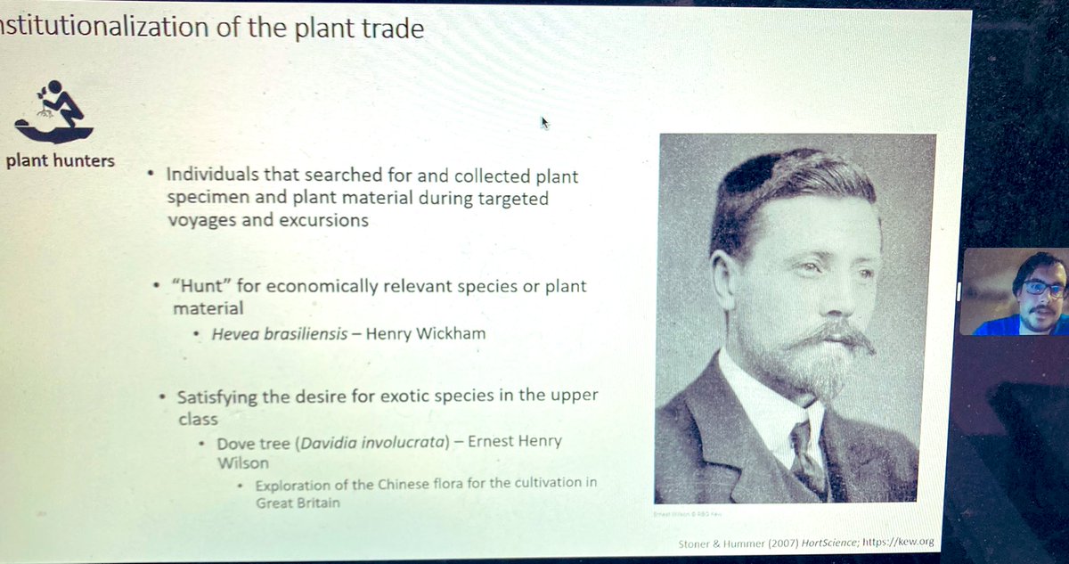 Happening now! The Impact of European Colonialism on Global Plant Redistribution by @Bernd_le_ Spoiler alert: it’s staggering! 🙏 @LinneanSociety @fungi_flowers for these important conversations.  #colonialism #history #science #plantscience #globalism #botany #Planthumanities