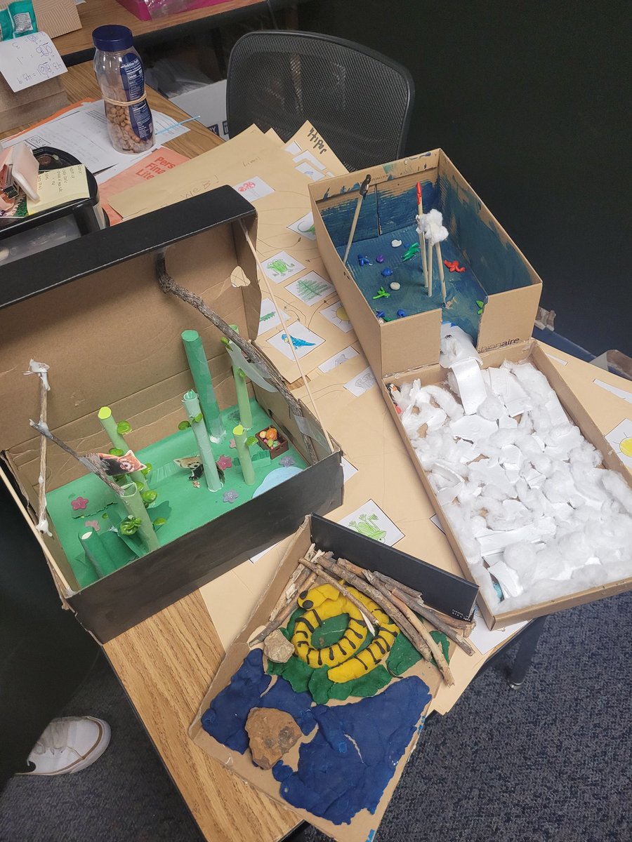 MathFanHoefert's tweet photo. Students in @NormaMyer classroom @AAlexanderElem created 3D models to show interactions within an ecosystem 🦎🐸🦒🦛 https://t.co/YB09yec7XW