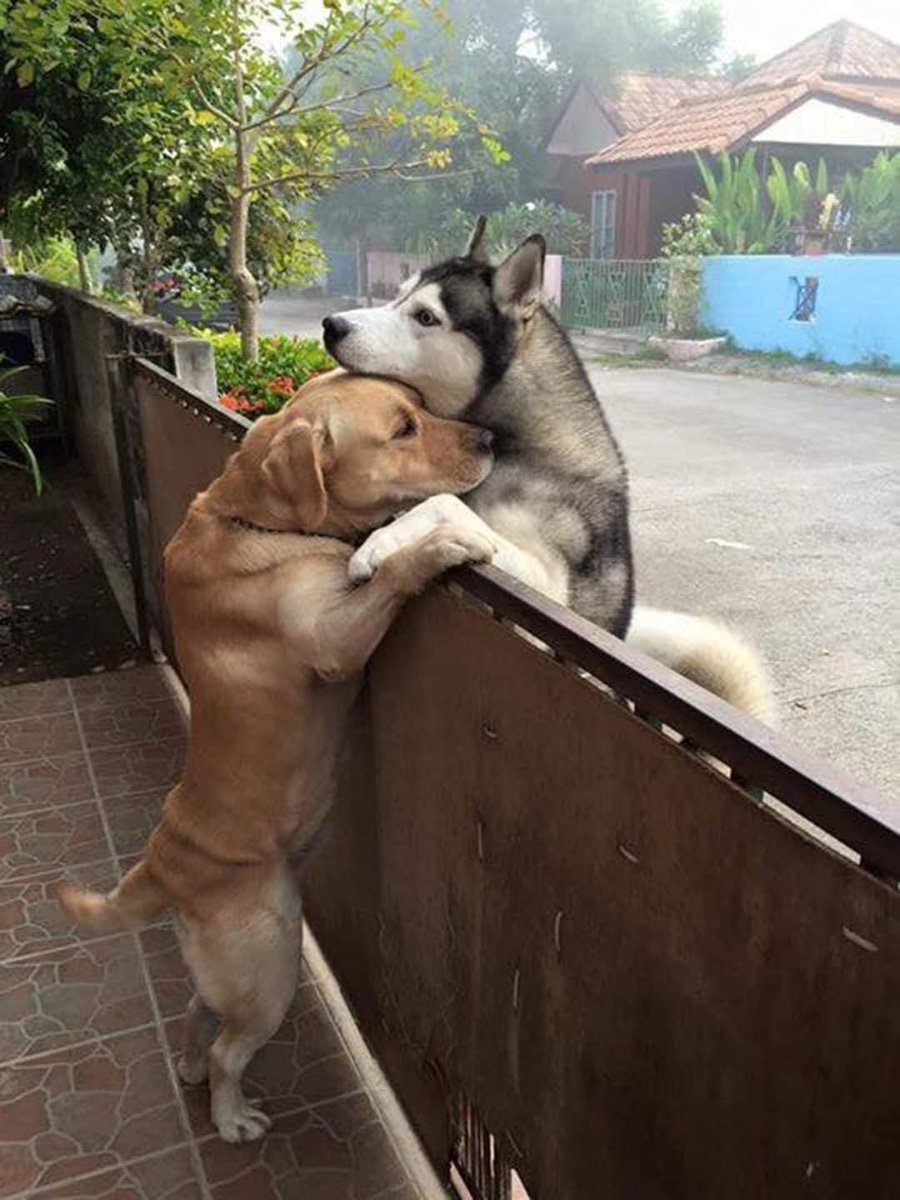 twaniimals's tweet photo. https://t.co/cyhlQdd7Ox