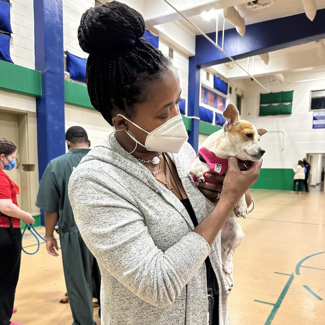 AlexAnimals's tweet photo. It’s #NationalPuppyDay, and we celebrated with the staff and inmates @AlexVASheriff! Everyone was thrilled to see the (big) puppies and spend part of their day enjoying the benefits of canine comfort.
#alexanimals #alexandriava #alexandriadogs #novadogs #dmvdogs https://t.co/6rLQearevz