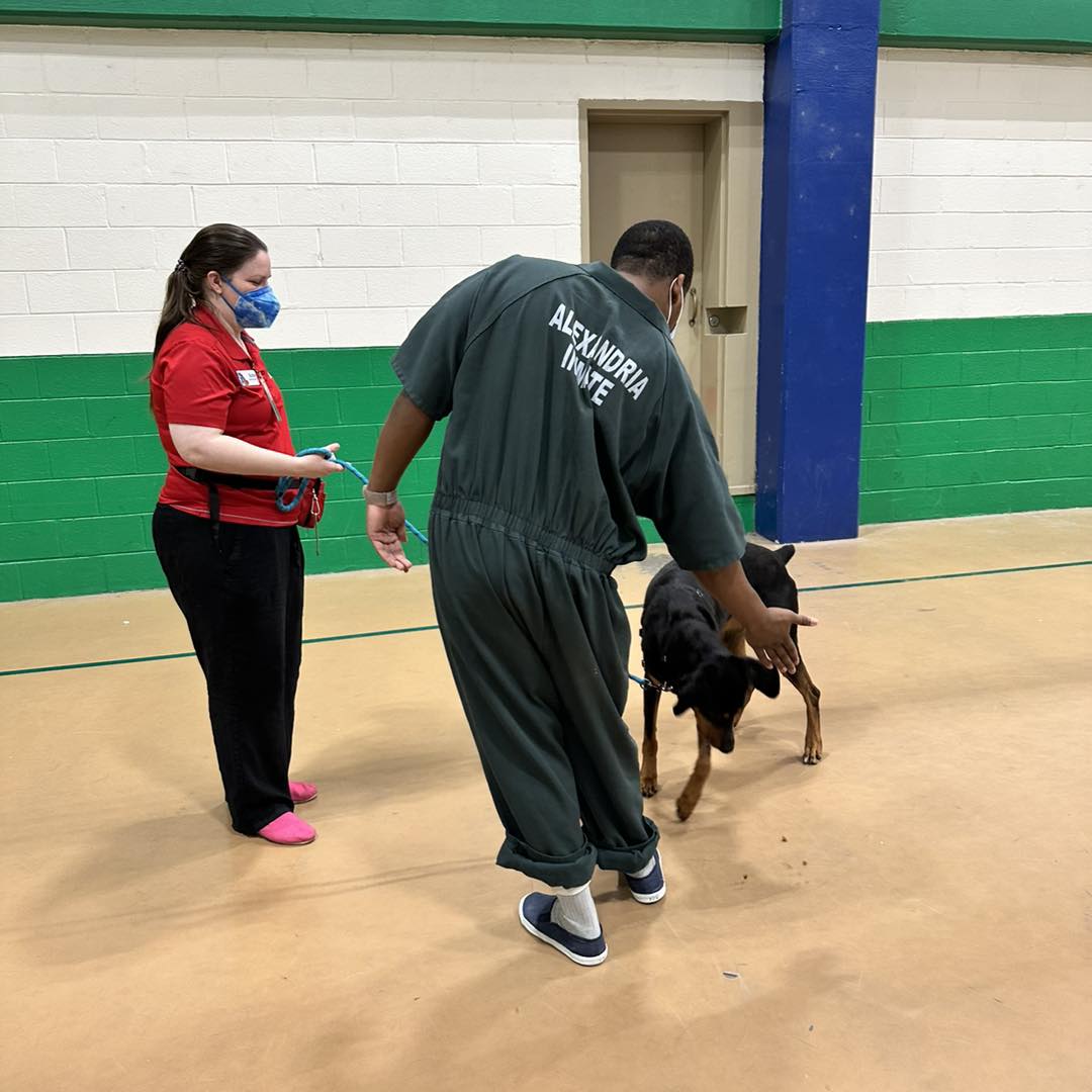 AlexAnimals's tweet photo. It’s #NationalPuppyDay, and we celebrated with the staff and inmates @AlexVASheriff! Everyone was thrilled to see the (big) puppies and spend part of their day enjoying the benefits of canine comfort.
#alexanimals #alexandriava #alexandriadogs #novadogs #dmvdogs https://t.co/6rLQearevz