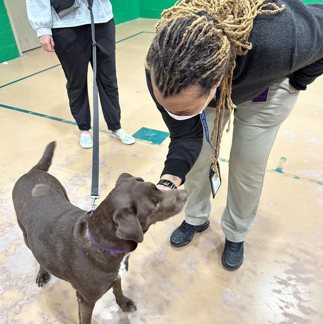 AlexAnimals's tweet photo. It’s #NationalPuppyDay, and we celebrated with the staff and inmates @AlexVASheriff! Everyone was thrilled to see the (big) puppies and spend part of their day enjoying the benefits of canine comfort.
#alexanimals #alexandriava #alexandriadogs #novadogs #dmvdogs https://t.co/6rLQearevz
