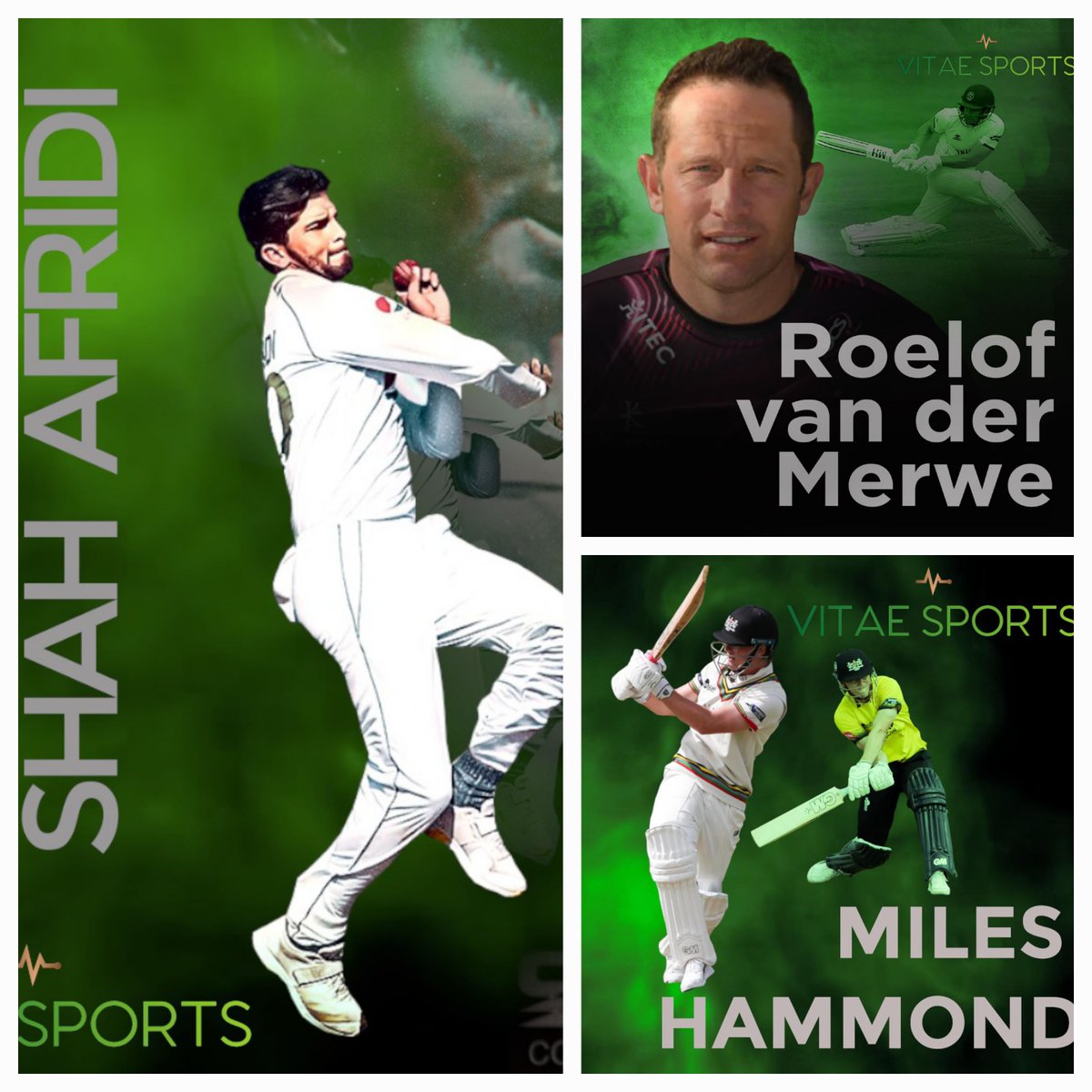 Vitae Sports tweet media