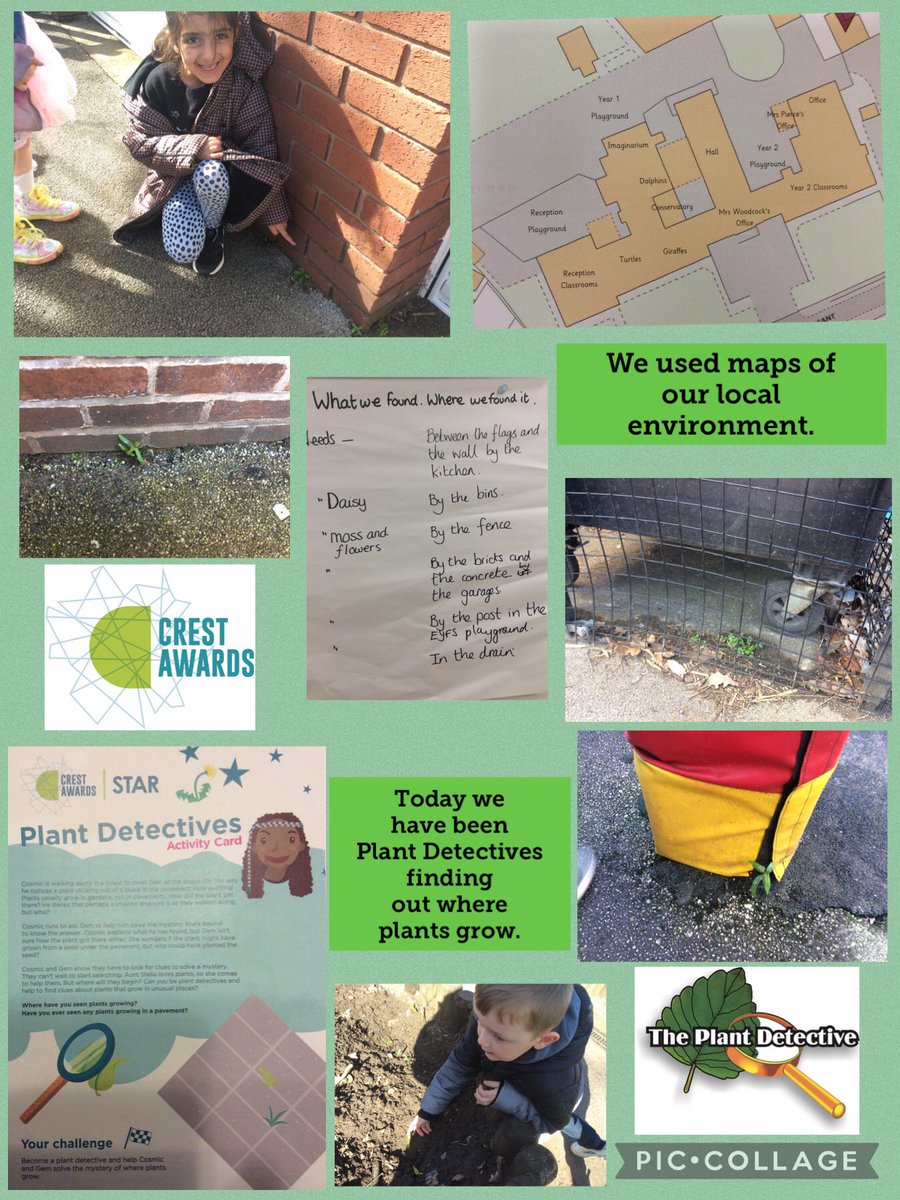 FPS_1_Dolphins's tweet image. Being plant detectives in our local environment #fpsscience