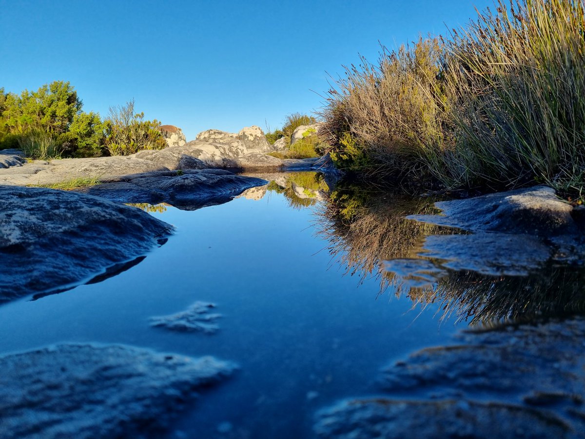 wichmannstories's tweet photo. Puddles, no matter where they are, are fascinating, and beg to be in your photos. This is on top of Table Mountain in Cape Town, South Africa. #Africa #SouthAfrica #CapeTown #TableMountain #Puddle https://t.co/JoFQH916DY