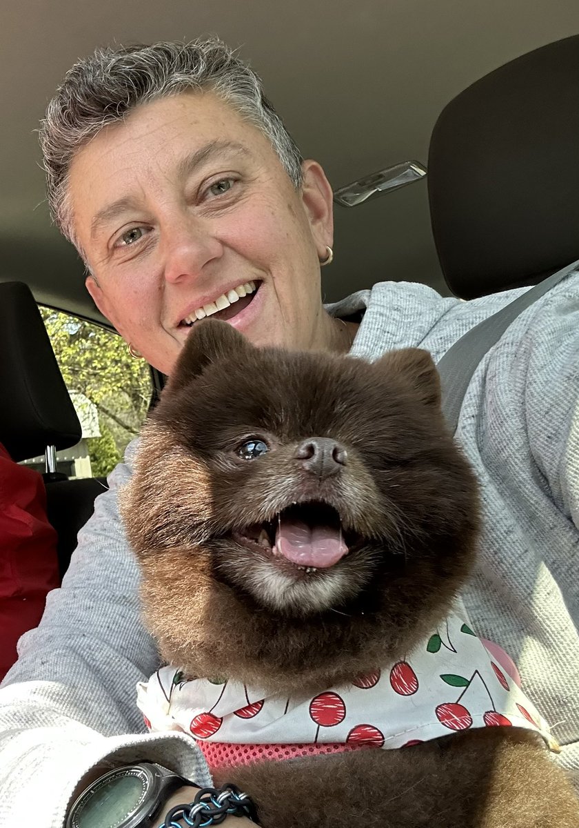 Look who got to ride on my lap on the way home from the groomers today!
.
#pomeranian #gooddog #puppyspaday #dontilookpretty