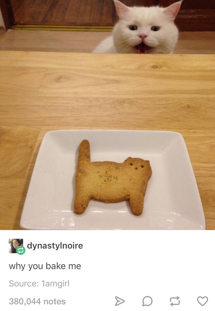 Maeve Doyle, PhD tweet media