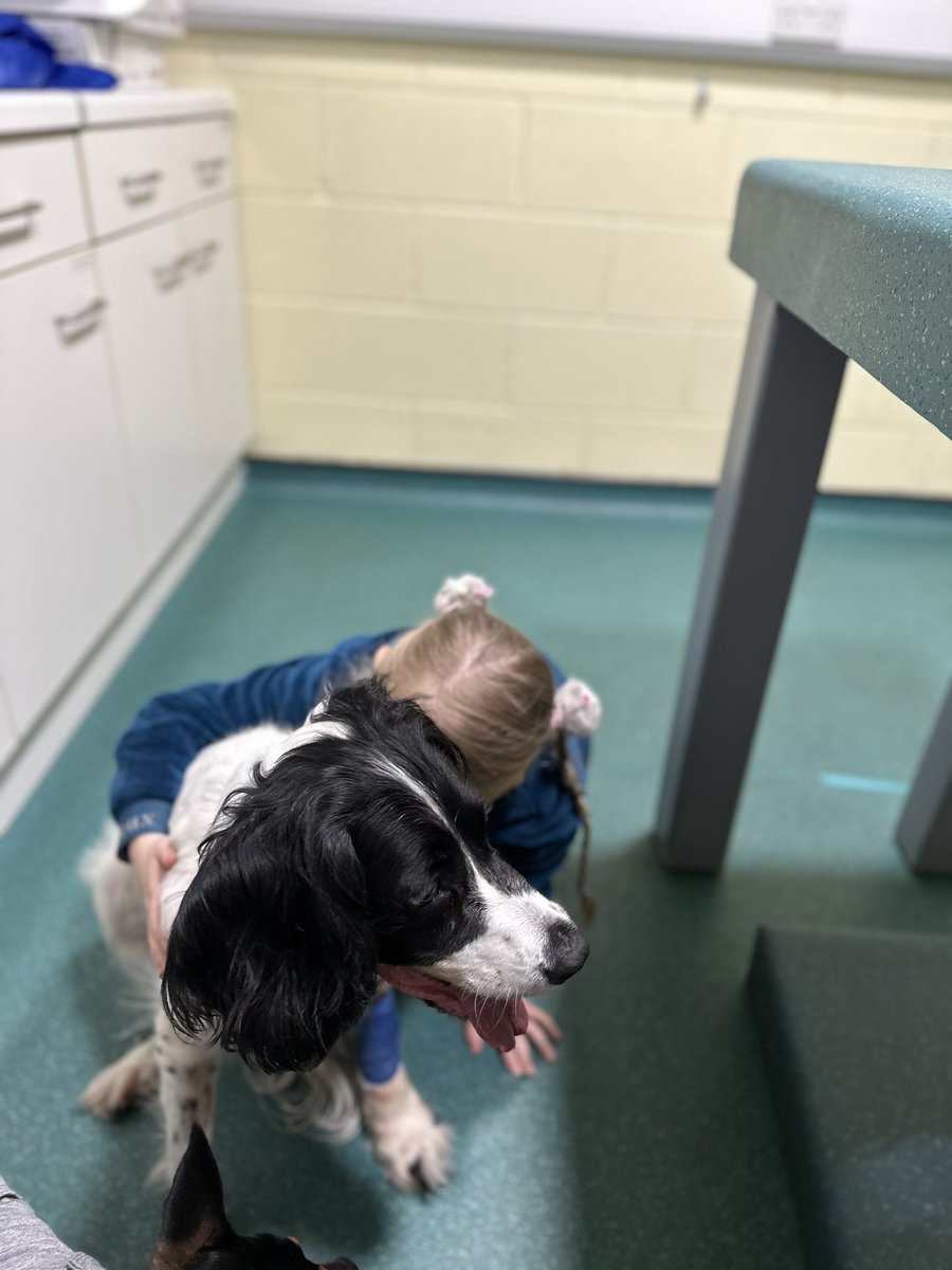 tothestarsmhsg's tweet photo. @PinnacleSF .  Remember that tree I asked you to remove as it was rotten as it was a risk to my animals and children. The tree collapsed on Mon night whilst my dogs were in the garden. My dog was pts today due to spinal trauma and losing the use of her legs https://t.co/I5pciRkvbQ