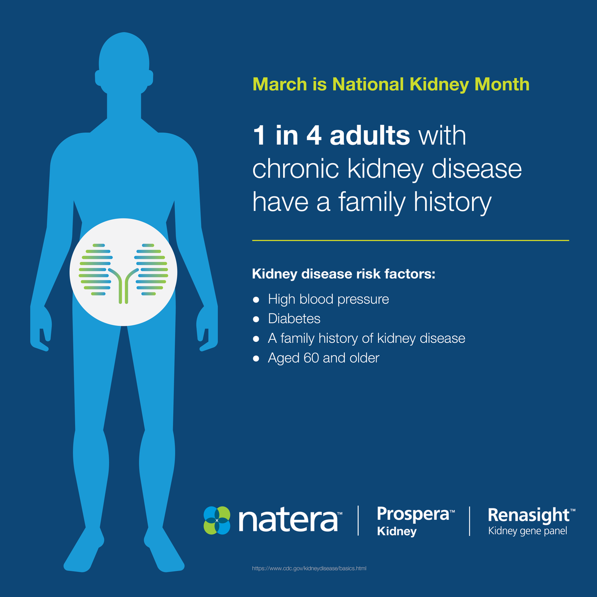 NateraNeph's tweet photo. Did you know? 1 in 4 adults with chronic #KidneyDisease has a family history. Renasight tests 385 genes to help determine if there is a genetic cause for someone's kidney disease or if there is an increased hereditary risk. Learn more: https://t.co/ojtDmEoxRW #KidneyMonth https://t.co/TpRCJ0rUH6