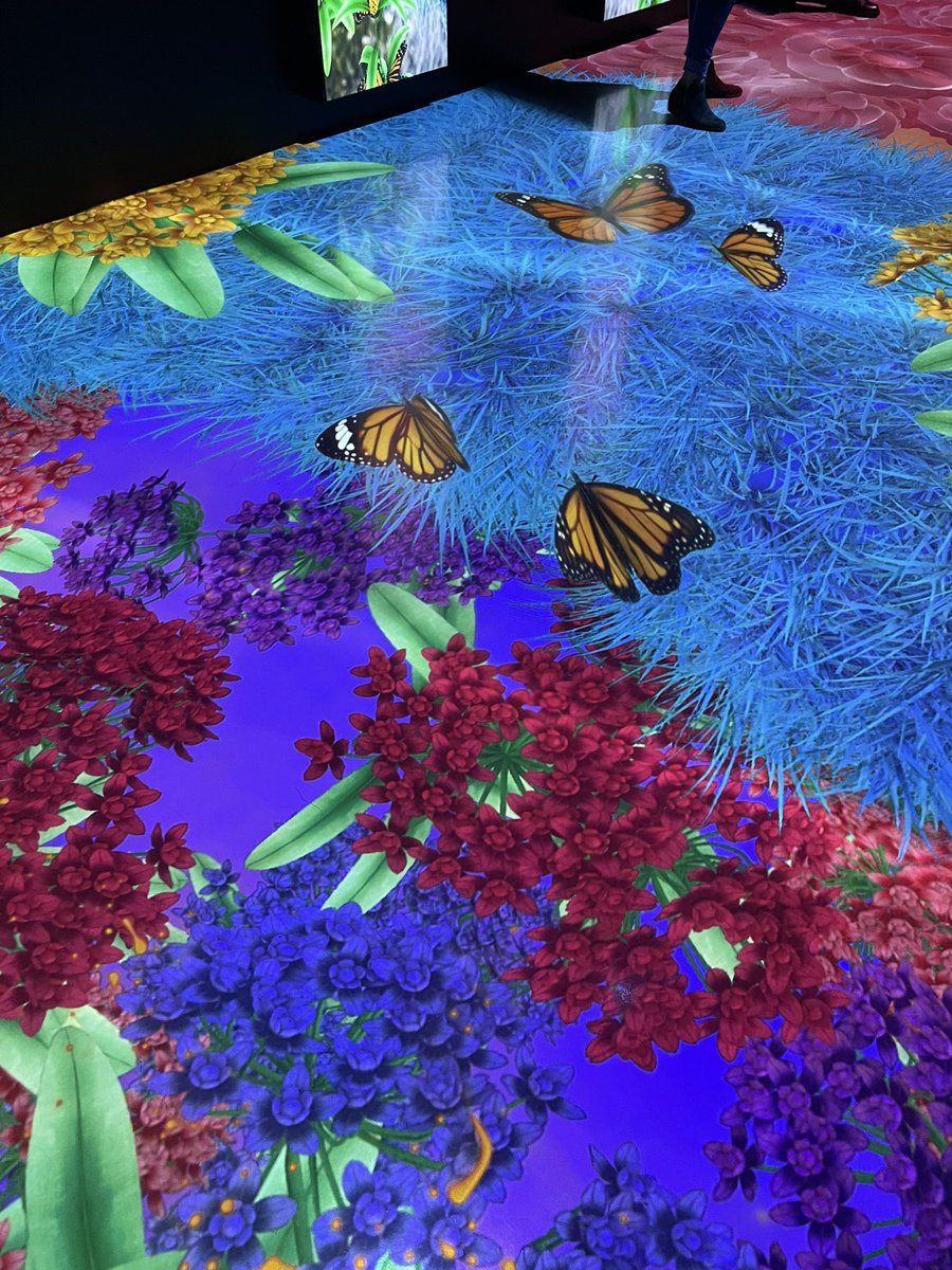 Stephanie Komajda tweet media