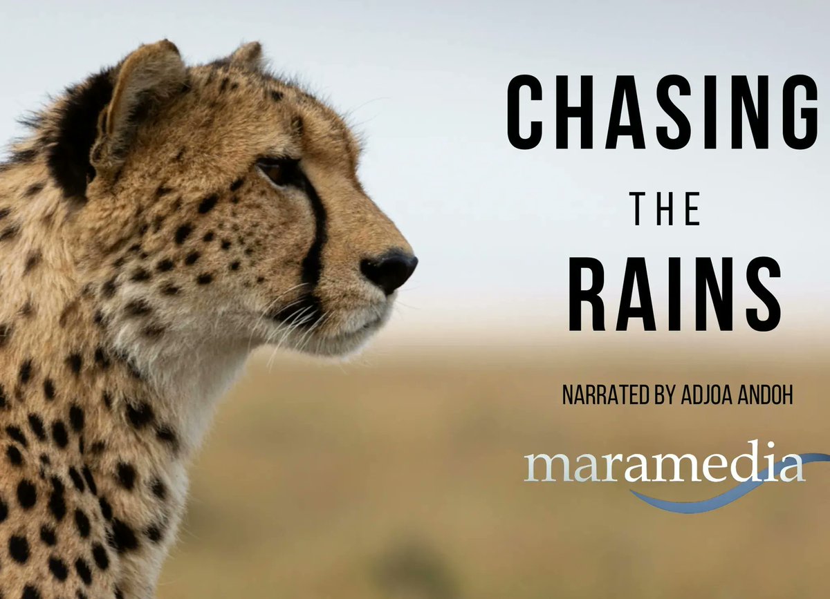 Maramedia tweet media